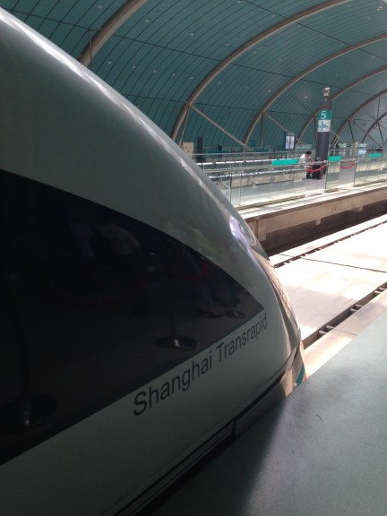 Transportation in Shanghai is incredibly fast and efficient. Photo: Ana Ribeiro