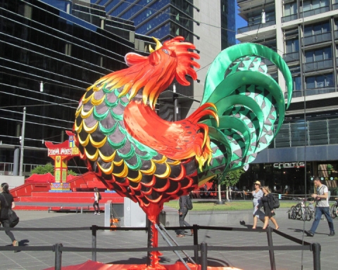 Rooster in Melbourne. Photo: Lito Seizani