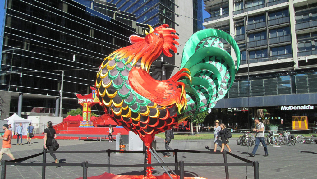 Rooster in Melbourne. Photo: Lito Seizani