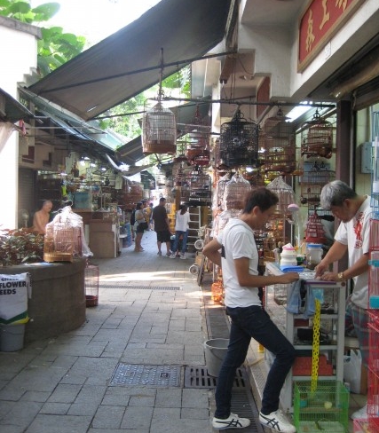 Bird Market in Kowloon, Hong Kong. (Photo: Ana Ribeiro)