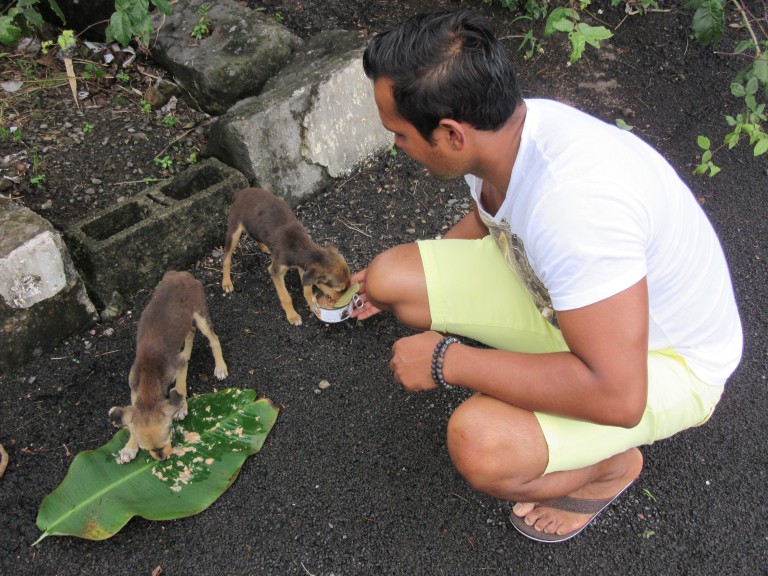 Arvind feeding emaciated puppies in the parking lot of a Hindu temple in Mauritius. (Photo: Maximilian Georg)