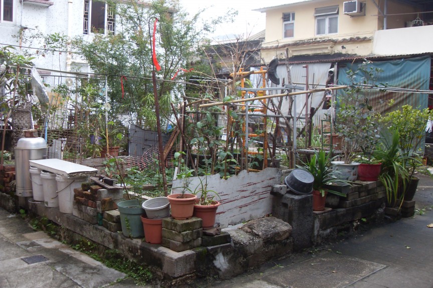 A garden in Hong Kong. (Photo: Helena Flam)