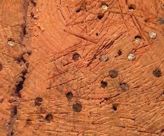 Tree stump with nails at Hexenkessel. (Photo: maeshelle west-davies)