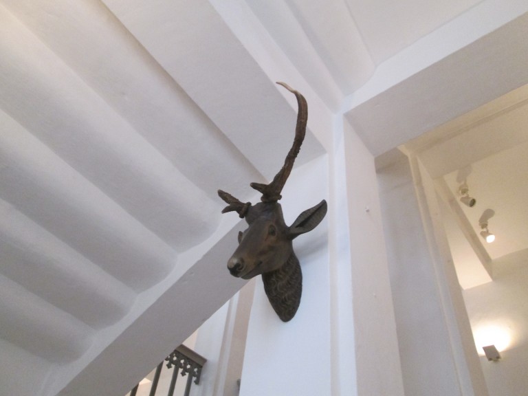 Antlers at Moritzburg. (Photo: Lito Seizani)