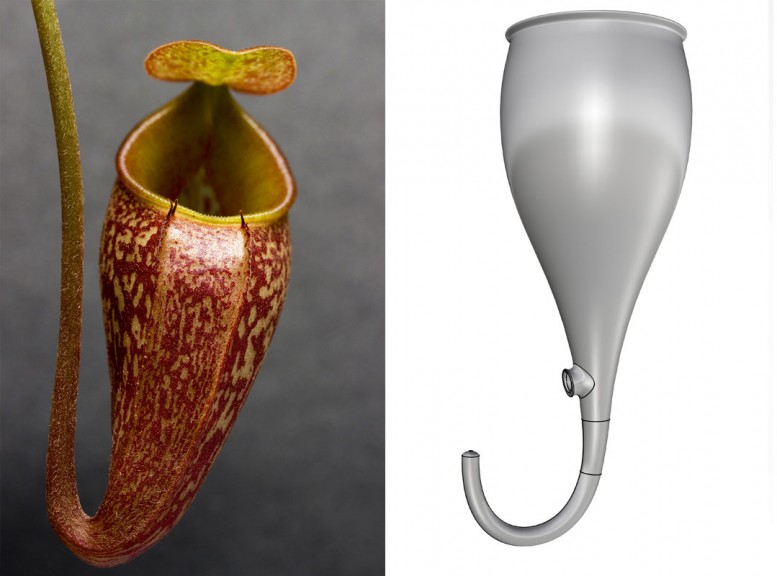 Nepenthes design, © Marilu Valente, is inspired by a carnivorous plant and the idea that "in nature, there is no waste," everything is cyclic. 