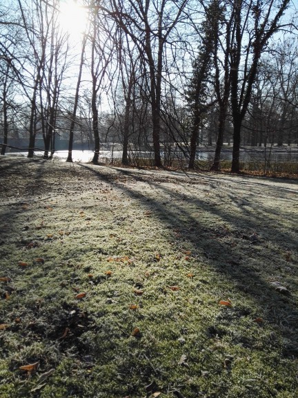 Taking in the frozen green sights of Leipzig. (Photo by Chrissy Orlowski)