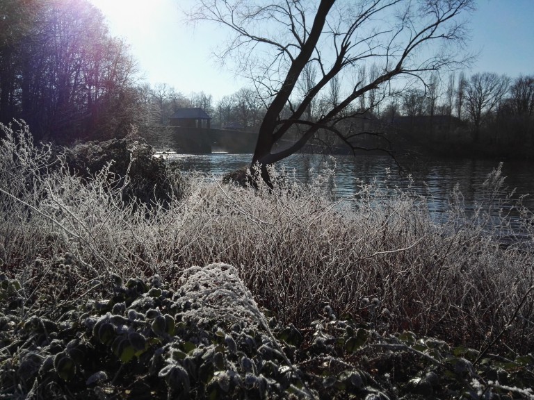 Sun over Clara-Zetkin-Park. (Photo by Chrissy Orlowski)