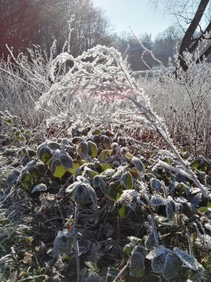 Leipzig in winter. (Photo by Chrissy Orlowski)