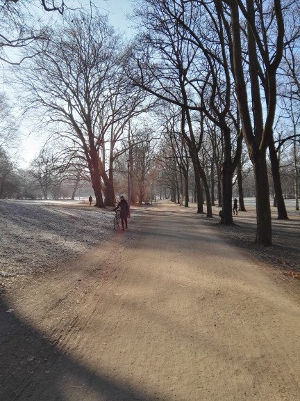 Strolling through winter. (Photo by Chrissy Orlowski)