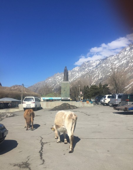 Georgian mountain