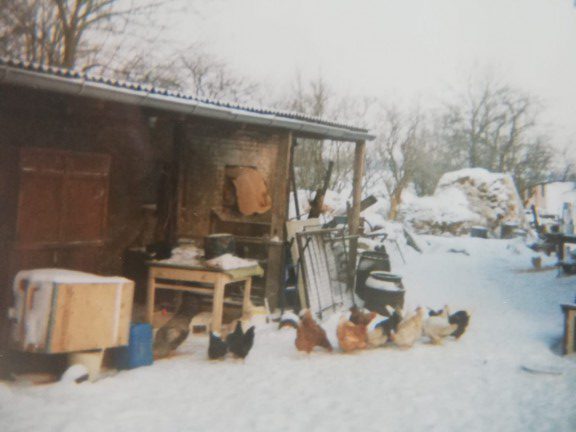 Farm in former GDR