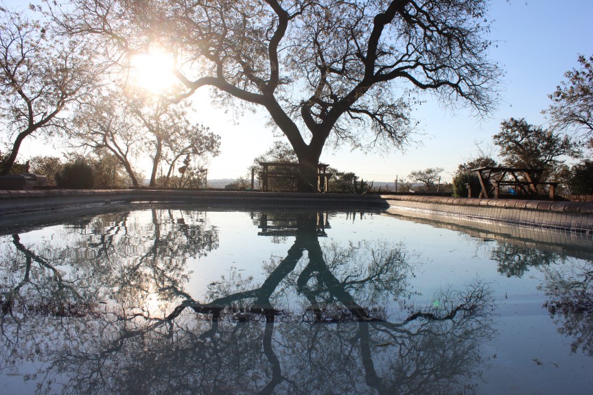 Water Reflection in Polokwane South Africa Photograph by Zachariah Rapola