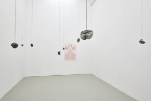 Lea Petermann, Rufina Bazlova, - Demo Mode Society, Exhibition view 2021 Photo- Stefan Fischer, 01 March – 27 March 2021, ASPN gallery