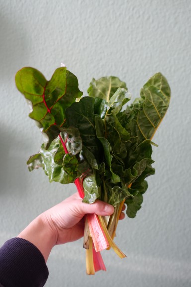 Colored chard from the farmers market, photo by Angela Kim