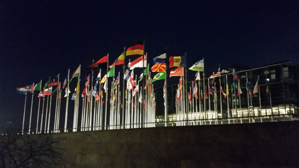 Countries' flags at night
