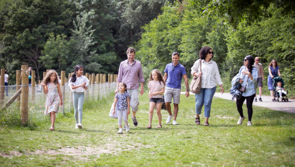 Families walking in park