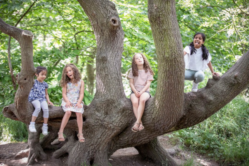 Kids in a tree