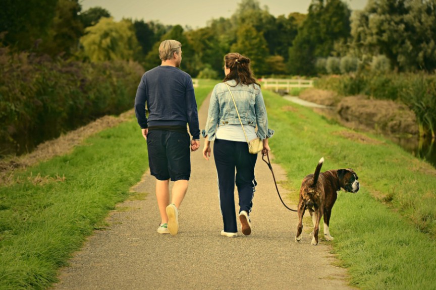 Couple walking dog