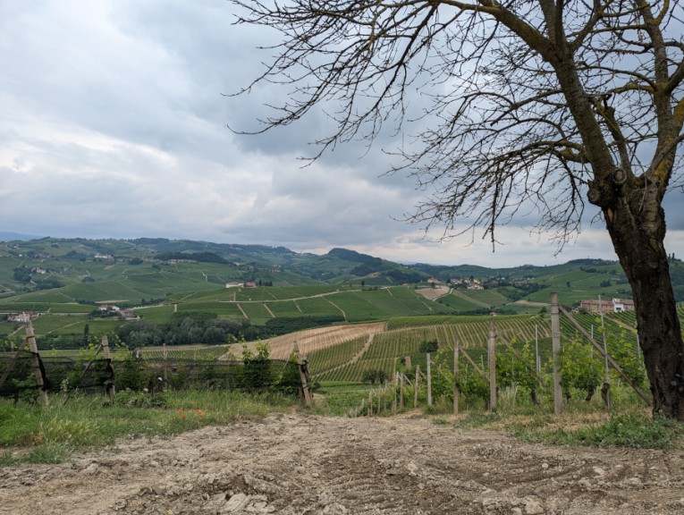 Hills of Piemonte