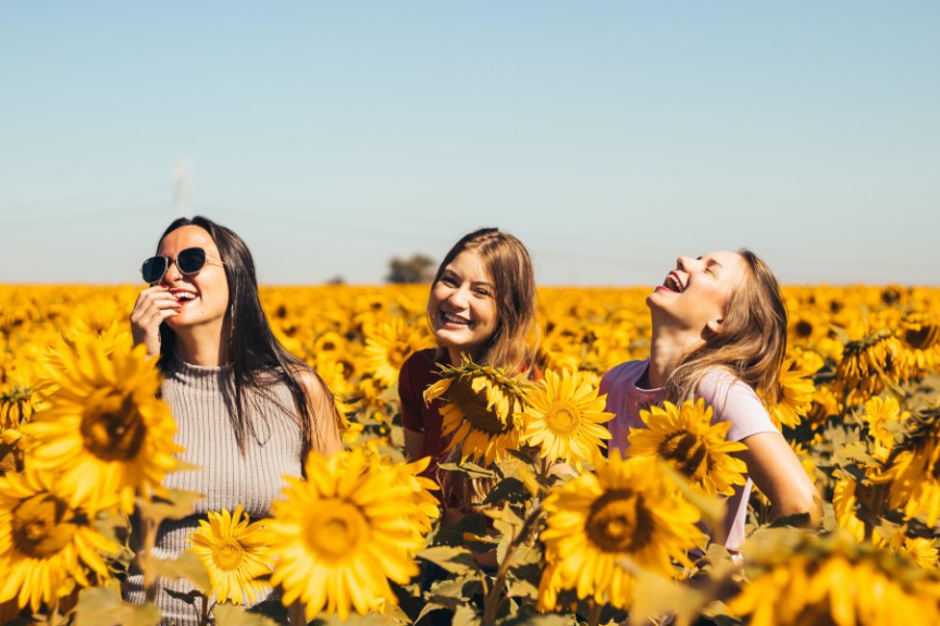 Three women in sunflower field