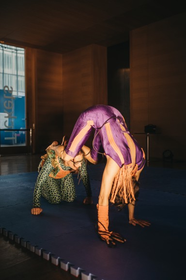 Two performers in costume doing acrobatics