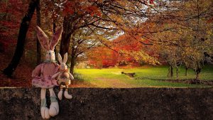 two toy rabbits sat on a wall in front of autumn field